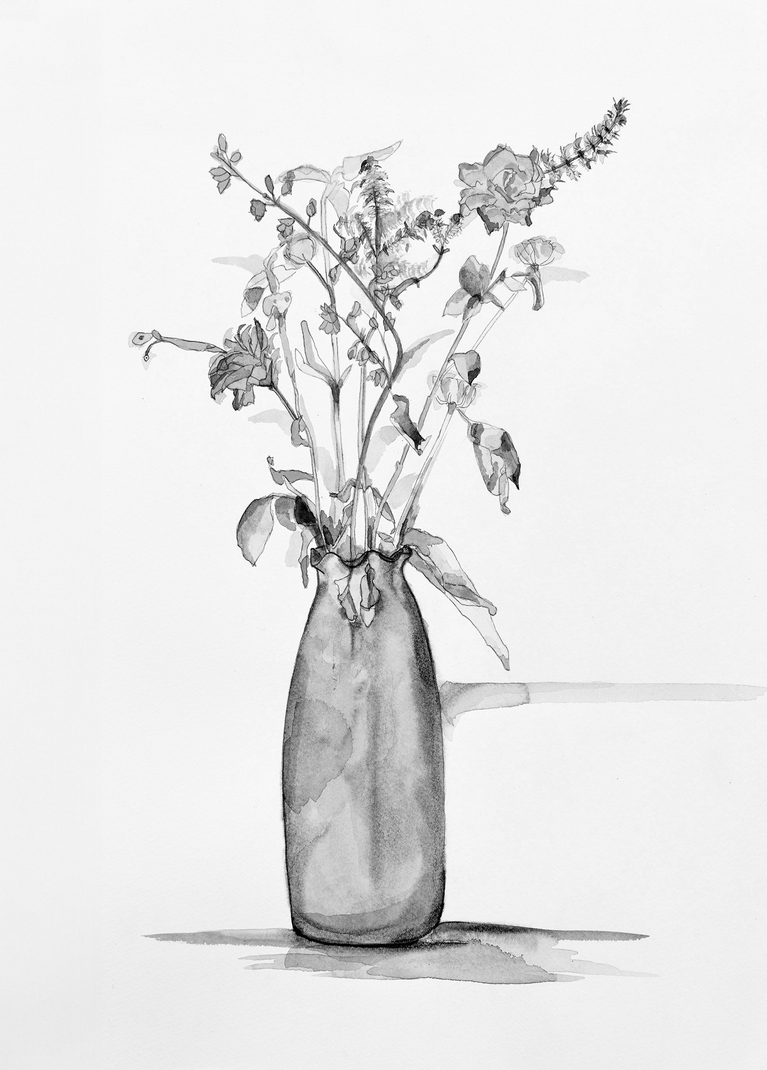 Serie Viridian de Andrea Albano Robles